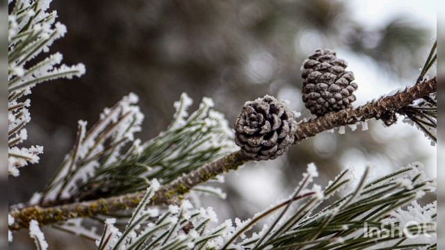 Relax piano/winter смотреть онлайн