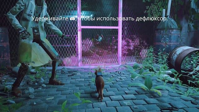 Что там в Stray [Обзор и Сюжет] смотреть онлайн