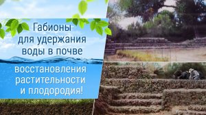 Габионы в Мексике!