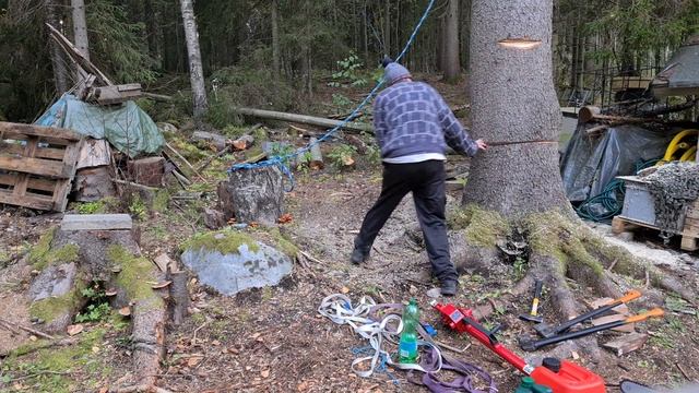 Korpiäijän paikka. Pluplubasch goodbye so with Husqvarna 592, 28". смотреть онлайн