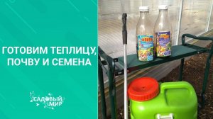 Вот такая петрушка! Сеем первую зелень, а еще  готовим теплицу, почву...