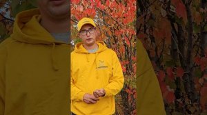 Как щелочную почву сделать нейтральной