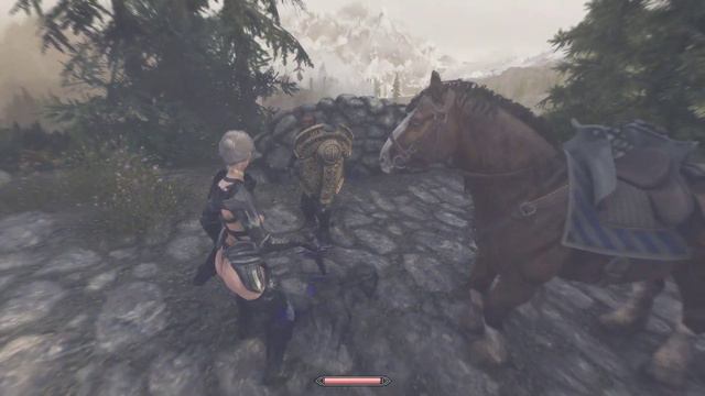 Skyrim SE Bleak Road Reloaded Modlist Episode 127: Between Eastmarch And The Rift, Avrusa's Request