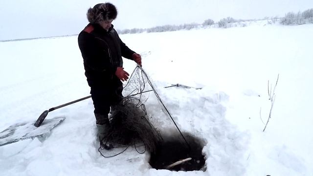 Зимняя рыбалка 2022. Крайний Север . НАО. смотреть онлайн