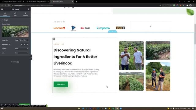 Tutorial Editing Konten Website berbasis CMS Wordpress + Elementor Plugin смотреть онлайн
