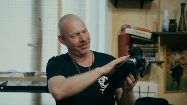 Спас ворону от холода смотреть онлайн