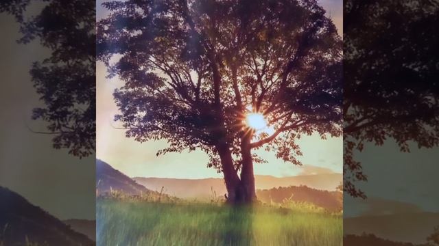 Приметы и мистика чаепития.