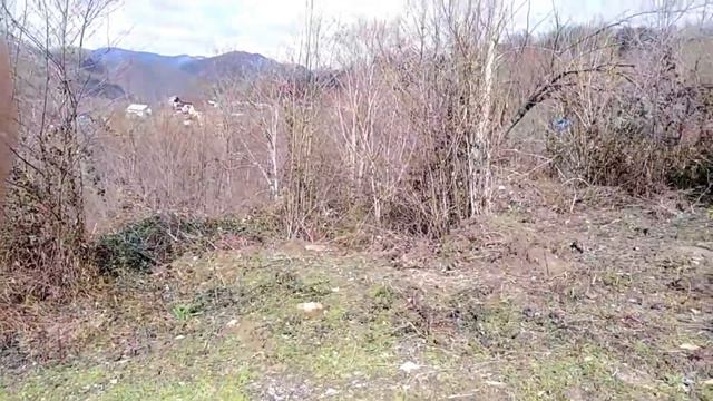 5 сот., СТ Прохлада , с.Ордынка смотреть онлайн