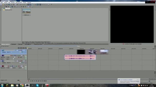 Урок№2 как отделить видео от звука в программе Sony Vegas Pro 10.0 смотреть онлайн
