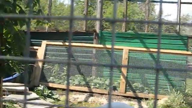 журавль смотреть онлайн