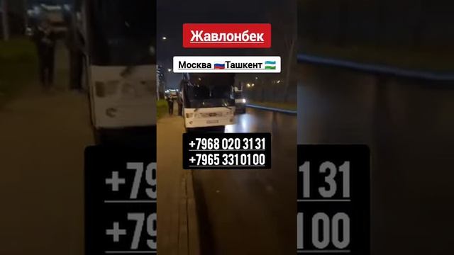 москва-ташкент такси санкт-петербург ташкент автобус. россия-узбекистан автобус. #автобус смотреть онлайн