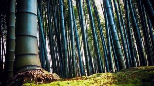 5 загадочных мест не менее чем бермудский треугольник.