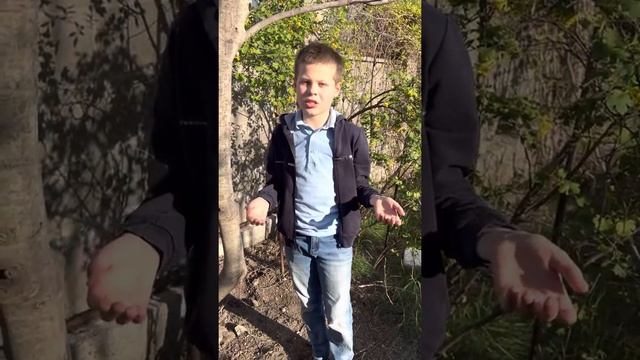 Стих «Родине» Спиридон Дмитриевич Дрожжин смотреть онлайн