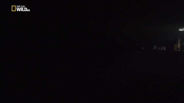 700 смотреть онлайн