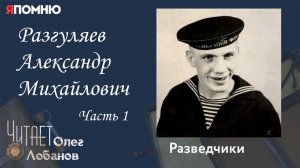 Разгуляев Александр Михайлович Часть 1. Проект «Я помню» Артема Драбкина. Разведчики.