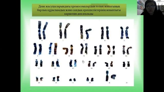 Цитогенетика негіздері  Оқытушы Уалиева Перизат