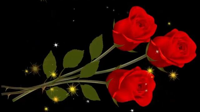 ФУТАЖ -КРАСНЫЕ РОЗЫ-  ДЛЯ ВИДЕОМОНТАЖА