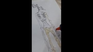 Как сделать сиреноголового самому / Siren head DIY guide