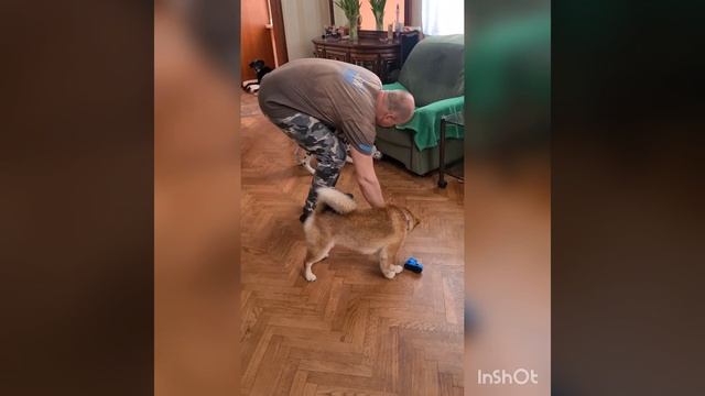 Порвать за 60 секунд?