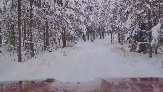 Часть2! Продолжаем тест заезд Land Cruiser Prado 150 по горкам и лесным дорогам #offroad #testdrive смотреть онлайн