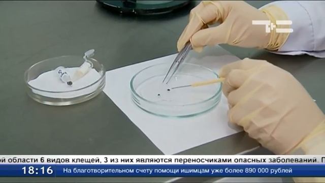 От клещей пострадало более 400 детей смотреть онлайн