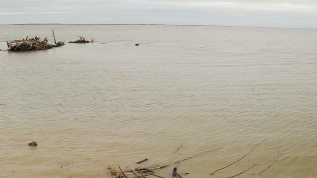 А оно стоит того ? китайский кораблик с GPS . часть 2 смотреть онлайн