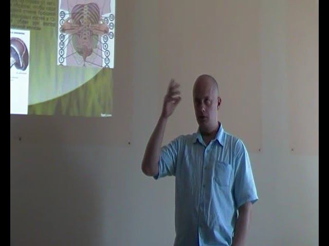 Семинар ВИСЦЕРАЛЬНАЯ ОСТЕОПАТИЯ 2 ВО2_13 смотреть онлайн