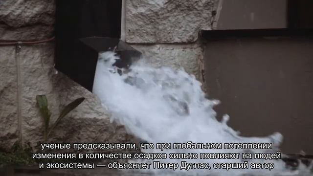 Ученые выяснили, что произошло с лесами после вымирания динозавров смотреть онлайн