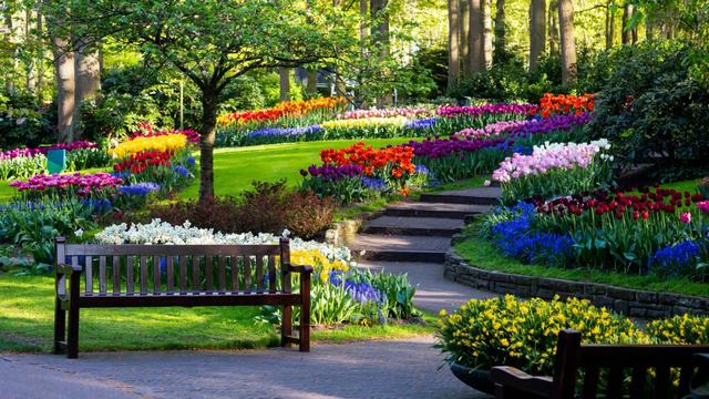 Andre Rieu - Serenata смотреть онлайн