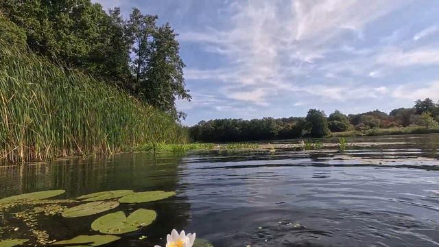 Капелька лета смотреть онлайн