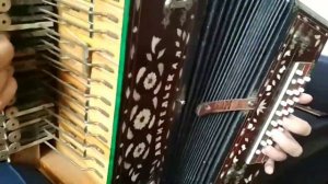 РЕ диез ЛЮБИТЕЛЬСКАЯ ГАРМОНЬ с необычным звуком
