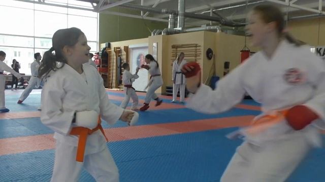 Семинар по спортивному кумитэ Мастера Спорта России по Каратэ Александры Лиджиевой. смотреть онлайн