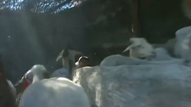 【Hero Zhang SanFeng 少年张三丰】EP30|張三豐習得神功下山，意外跟著少女結緣，開啟了行俠仗之旅！ смотреть онлайн