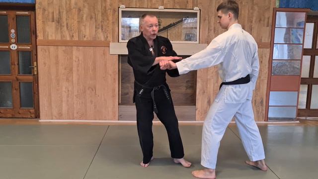 Hangetsu Bunkai-kumite Nr. 5 смотреть онлайн