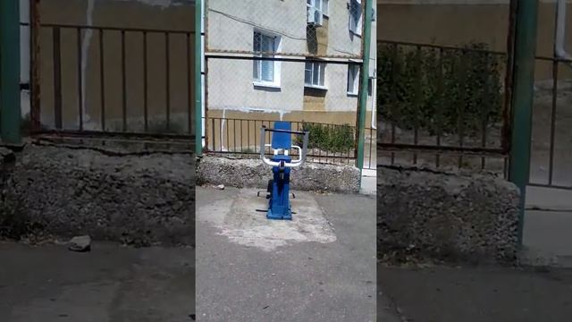 Посматрели где живут осы. смотреть онлайн