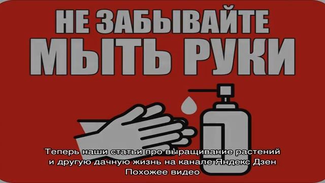 Почему дыня горькая — выясняем причину и что делать, чтобы избежать этого смотреть онлайн
