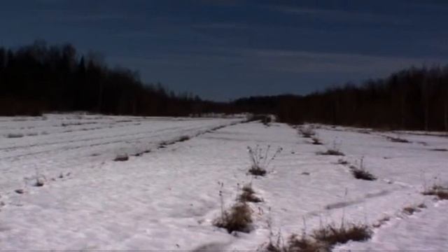 abandoned 1 шекснинский р-н смотреть онлайн