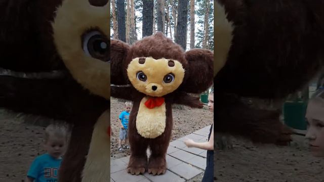 Ушастик поздравление смотреть онлайн