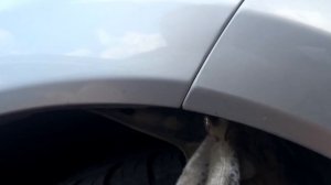 Фара Great Wall Hover (Грейт Волл Ховер)