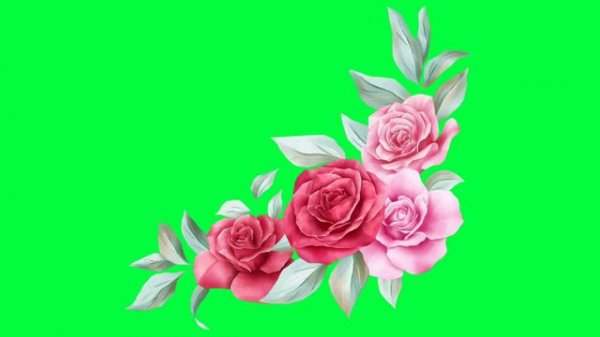 Flowers Green Screen Video Effect | Flower Green Screen No Copyright | Beautiful Flower Green Scree