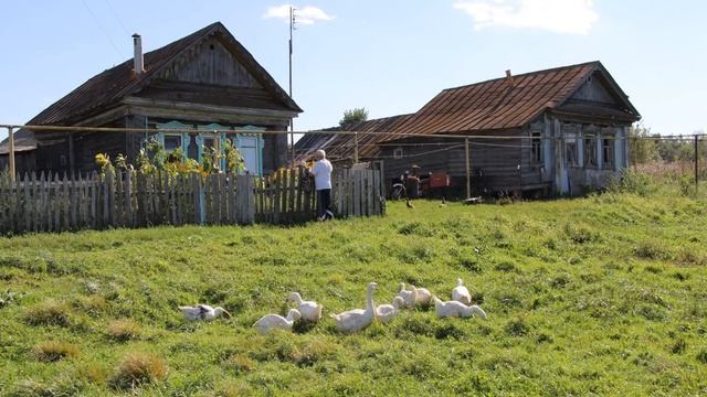 с. Елфимово, Нижегородская обл., Лукояновский р-н смотреть онлайн