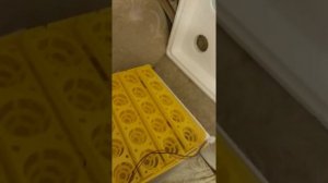 Китайский автоматический  Инкубатор WQ-24-1??