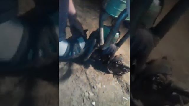 Заводим пилу дружбу 4 смотреть онлайн