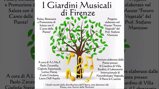 Il Canto del Ficus Benjamin (L.I.N.V.) смотреть онлайн