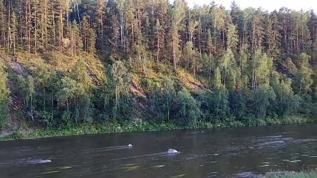 На берегу Исети около порога Ревун смотреть онлайн