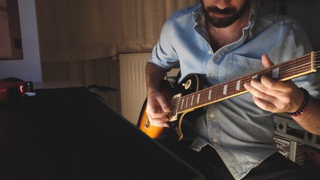 Zakk Wylde - Sleeping Dog Solo Cover смотреть онлайн