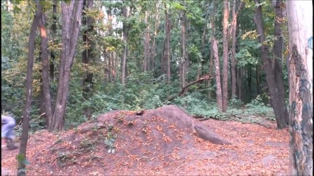 Парниша неплохо прыгнул смотреть онлайн