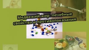 Медвежий жир: лечебные свойства и противопоказания