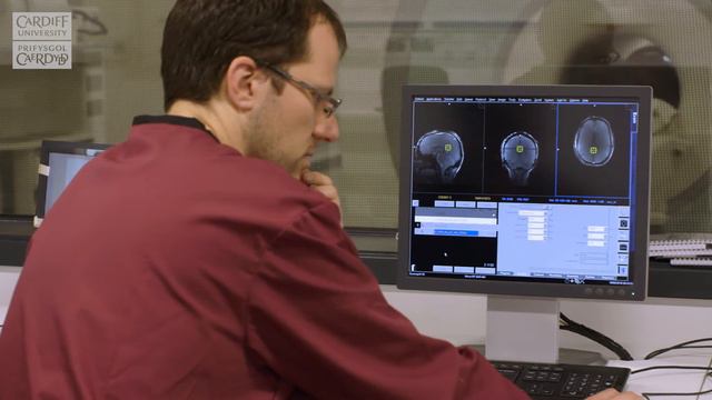 7 Tesla MRI - Cardiff University Brain Research Imaging Centre смотреть онлайн