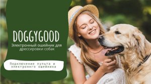 Как связать между собой пульт и электронный ошейник DoggyGood